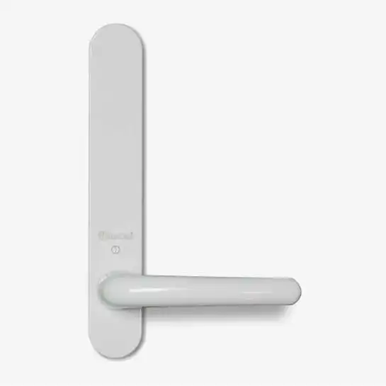 Handle with Exterior Plate - Door