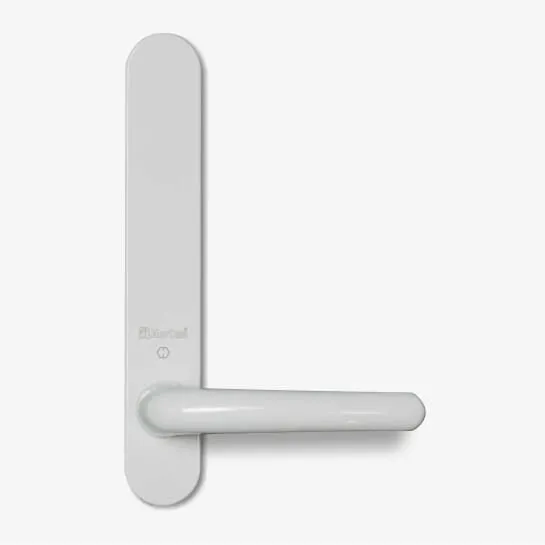 Handle with Exterior Plate - Door